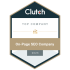 Clutch Top On-Page SEO Company